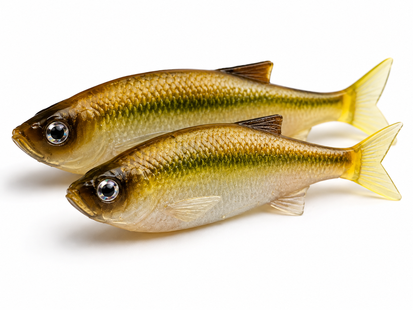Dirty Minnow (Insane Dying Shad)
