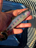 Wedgie6 Top Hook Jig- Neo Trout