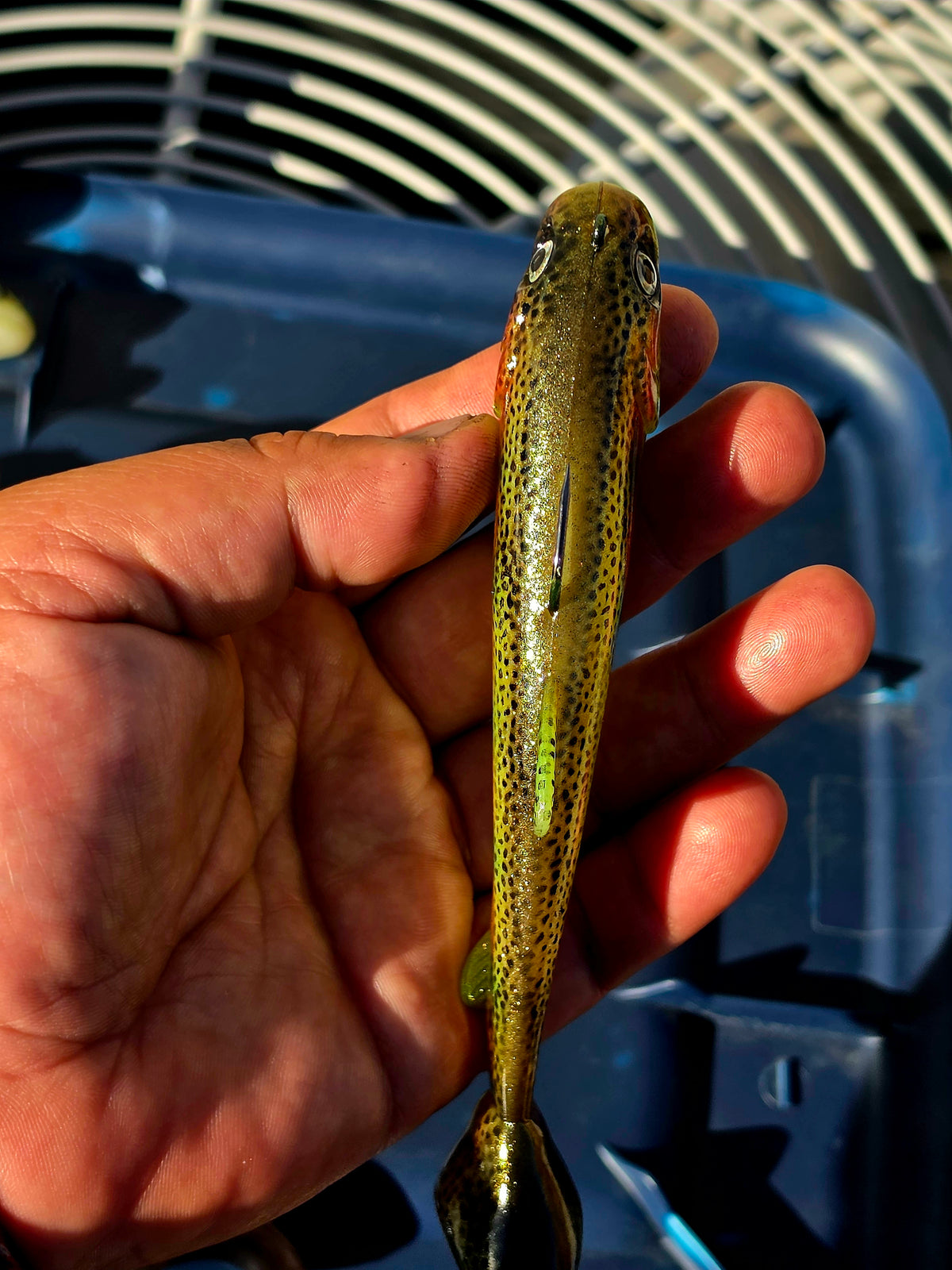 Wedgie6 Top Hook Jig- Bright Trout