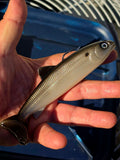 Wedgie6 Top Hook Jig- Silver Shad