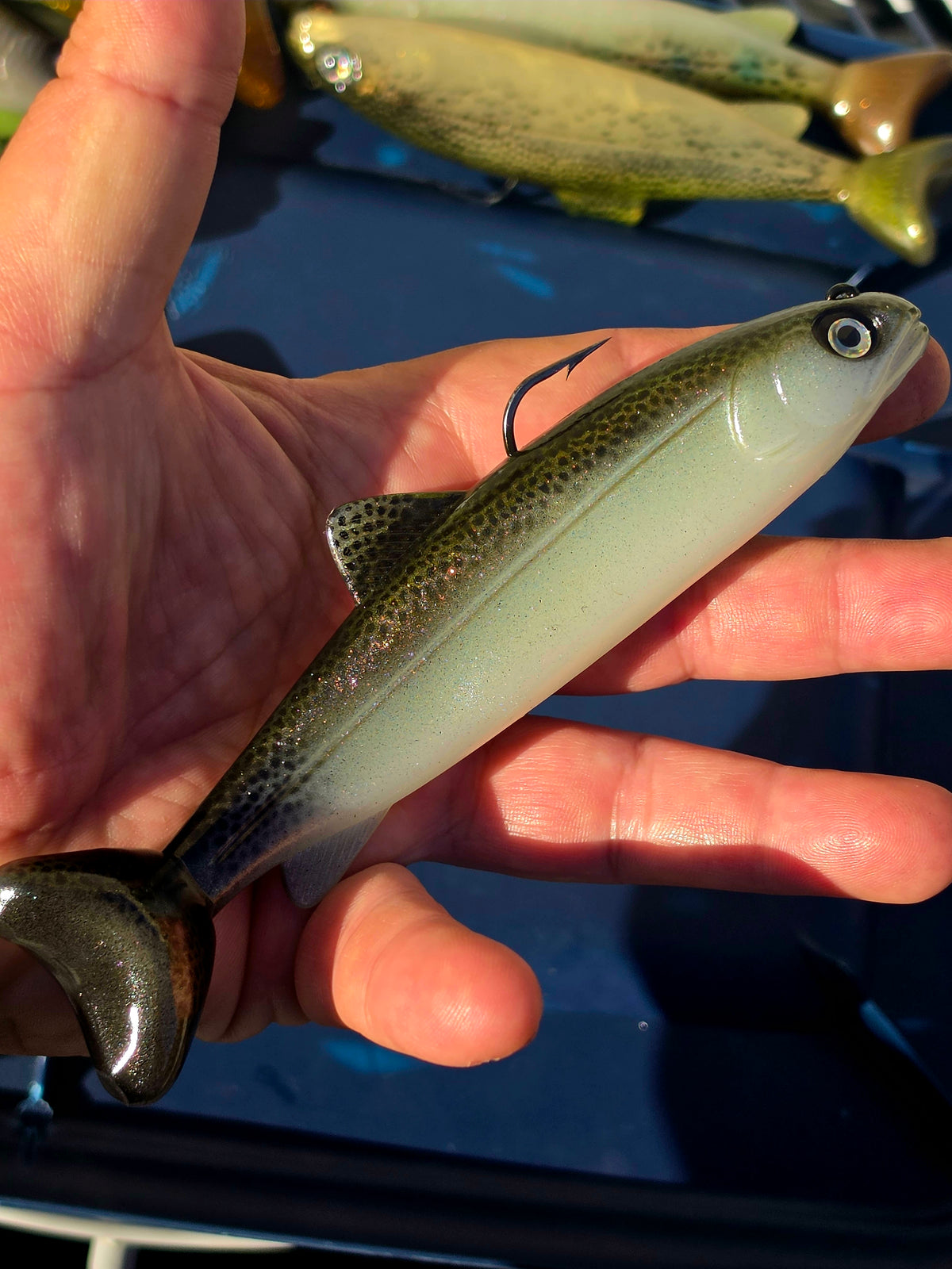 Wedgie6 Top Hook Jig- Nasty Trout