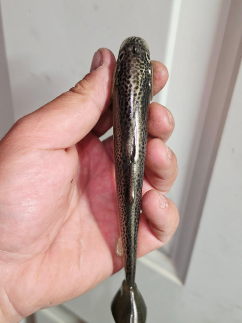 Wedgie6 Top Hook Jig- Bone Silver Trout