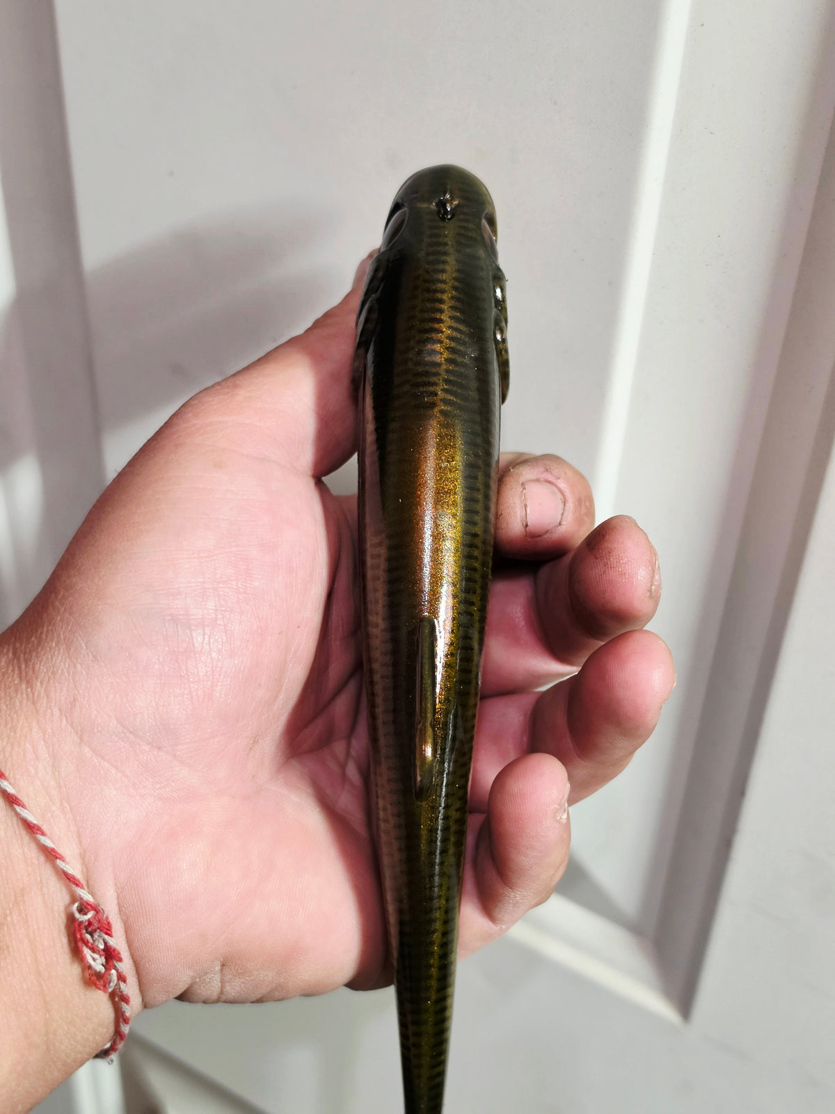 Wedgie8 (Top Hook Treble)- Dark Carp