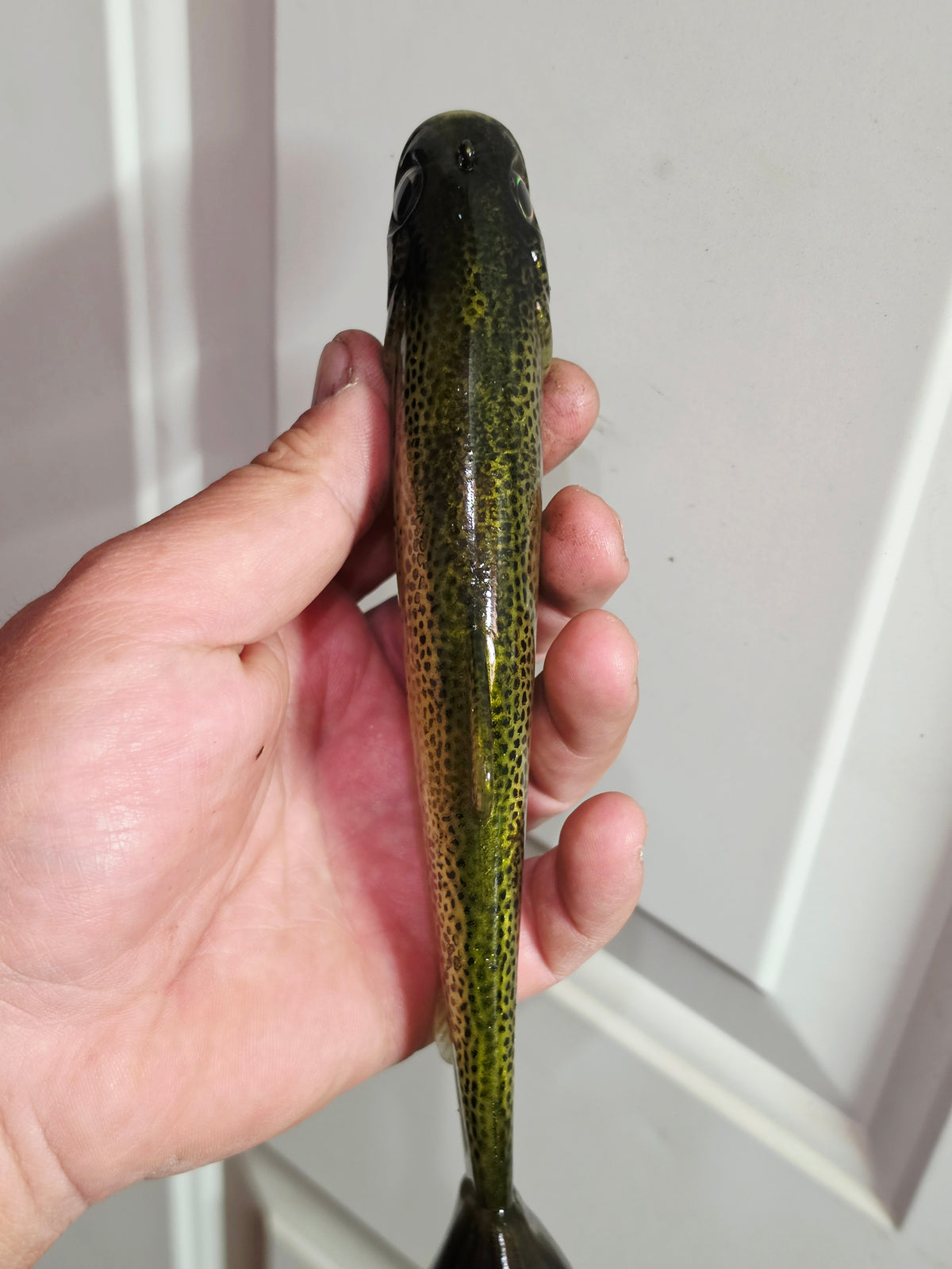 Wedgie8 (Top Hook Treble)- Bone Trout