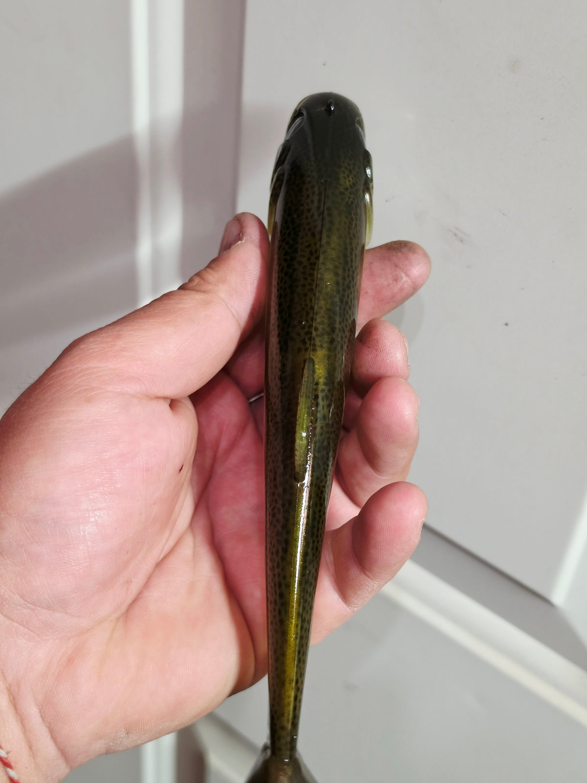 Wedgie8 (Top Hook Treble)- Pearlized White Brown Trout