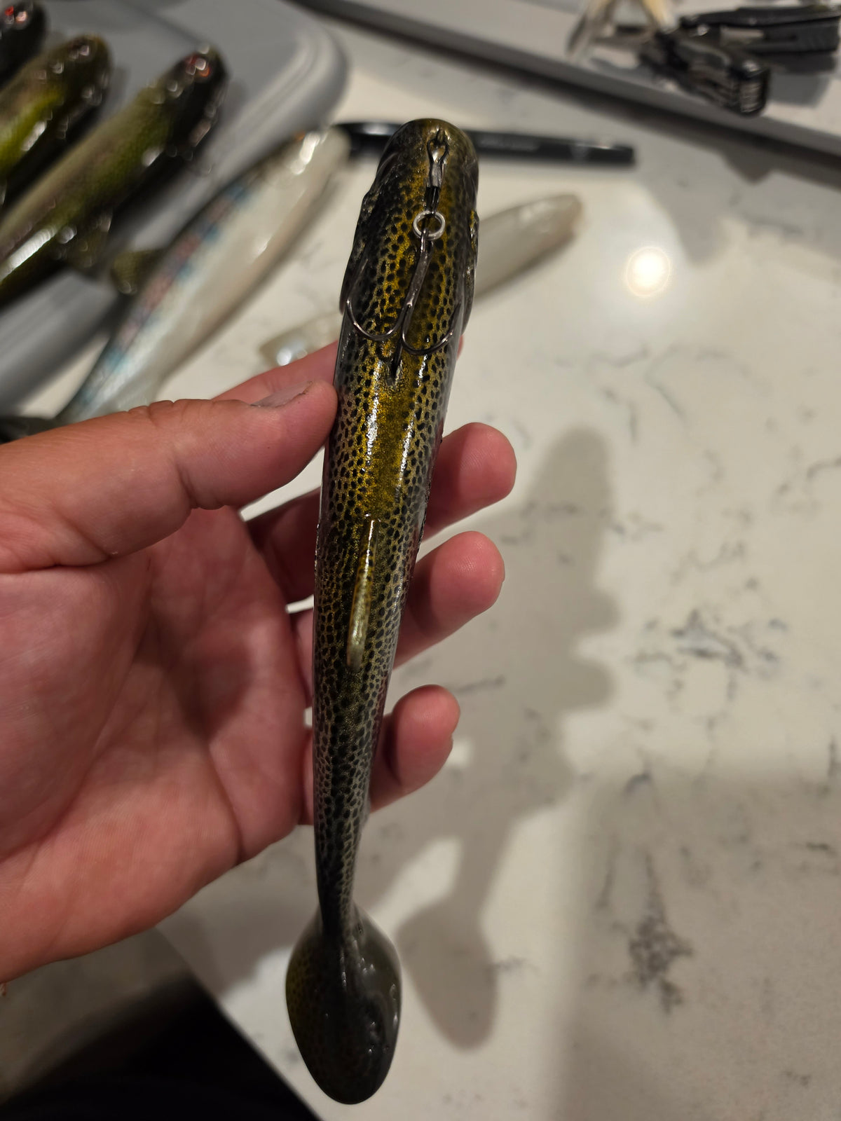 Wedgie8- Silver Trout Bronze top