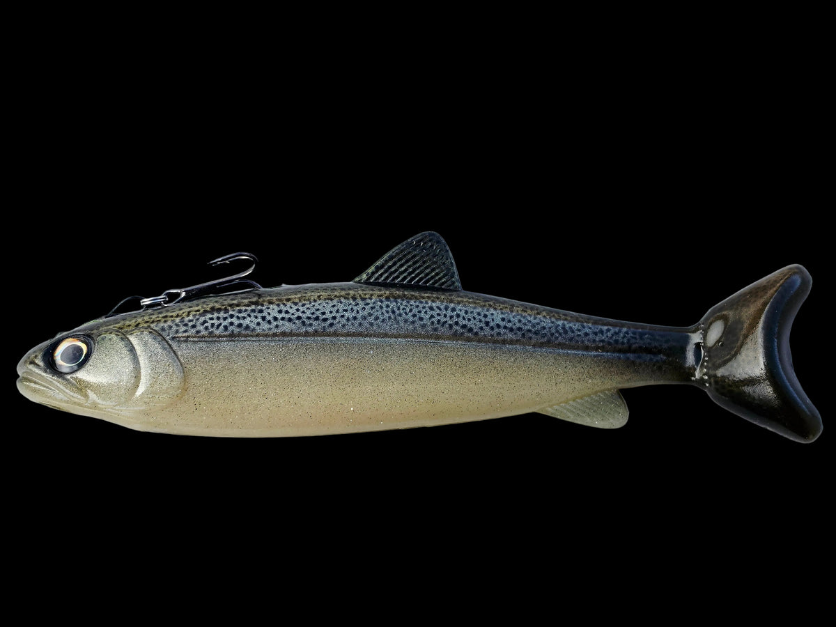 Wedgie8- Silver Trout