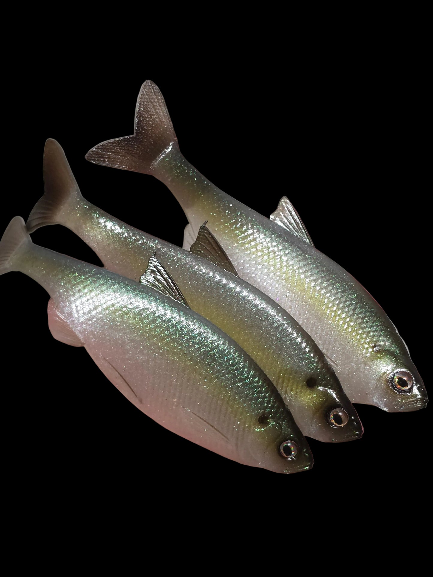 Insane Dying Shad (Sexy Shad)
