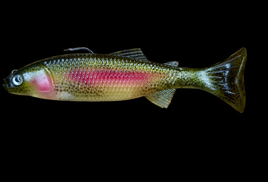 Crawling Creeper (Dinner Trout)