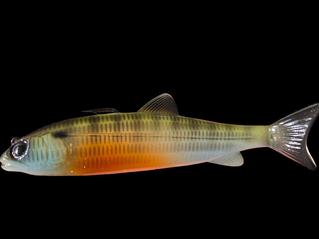 Wedgie6 gen2 (Bluegill)
