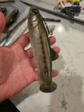Wedgie8- Natural River Trout