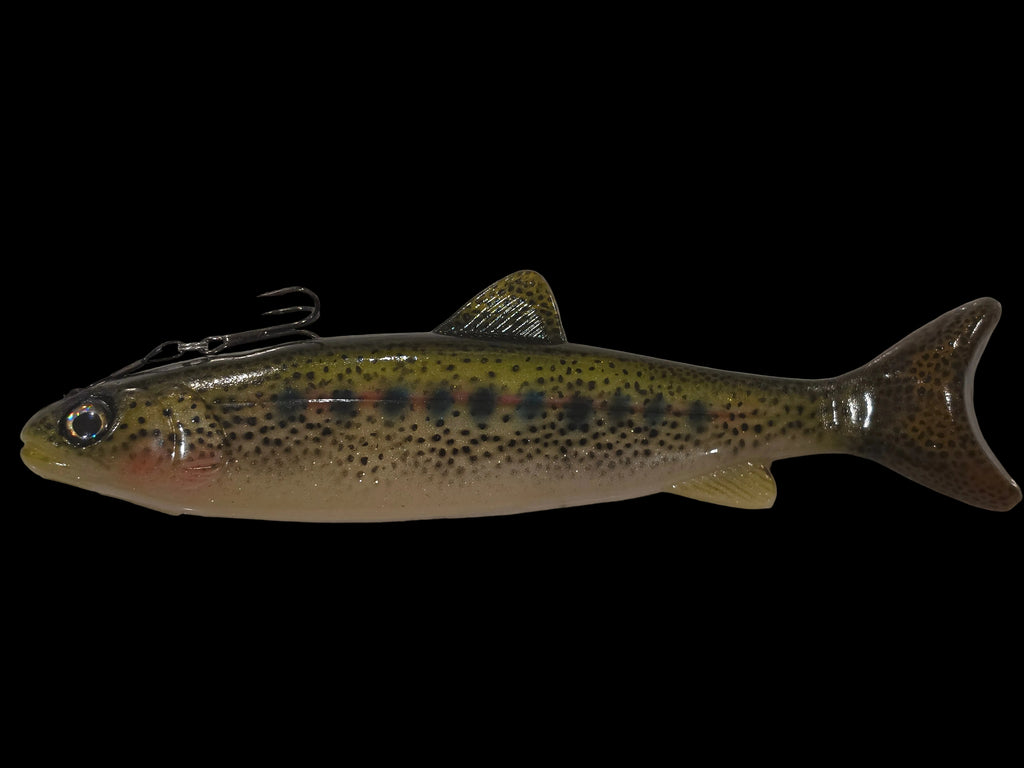 Wedgie8- Olive back trout