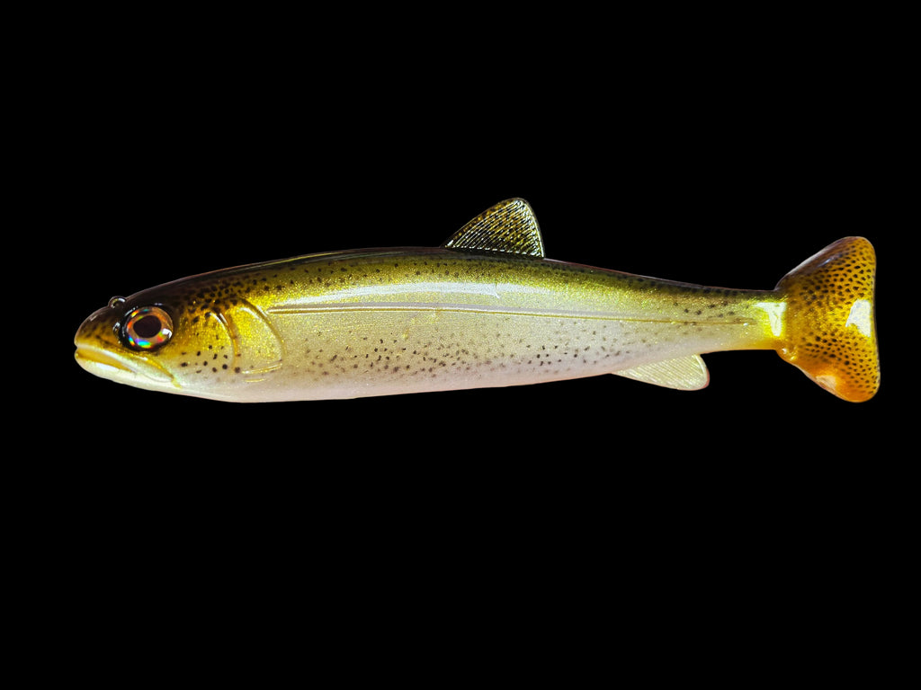 Wedgie8- Pinkless Trout