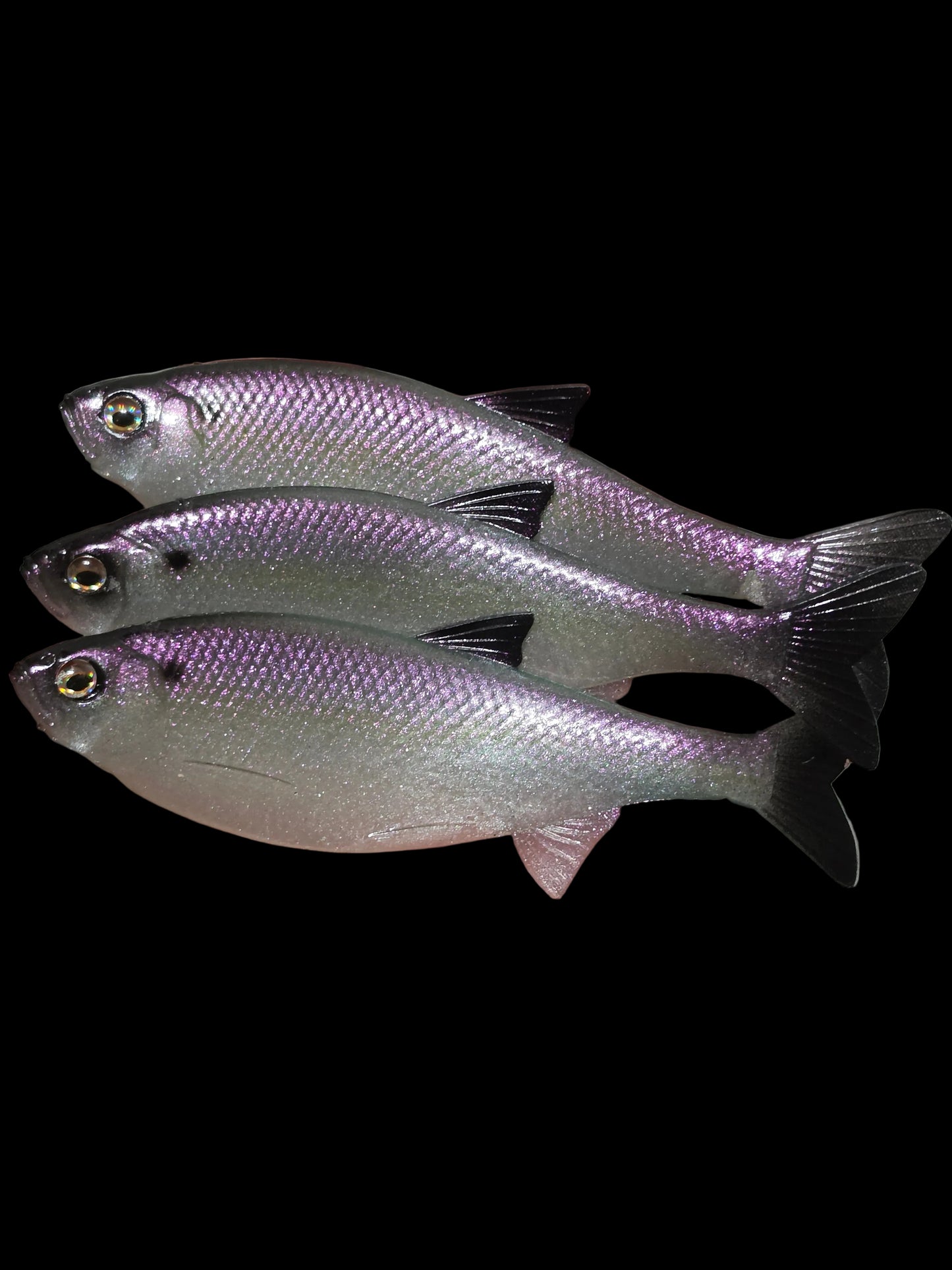 Insane Dying Shad (Lavender Shad)
