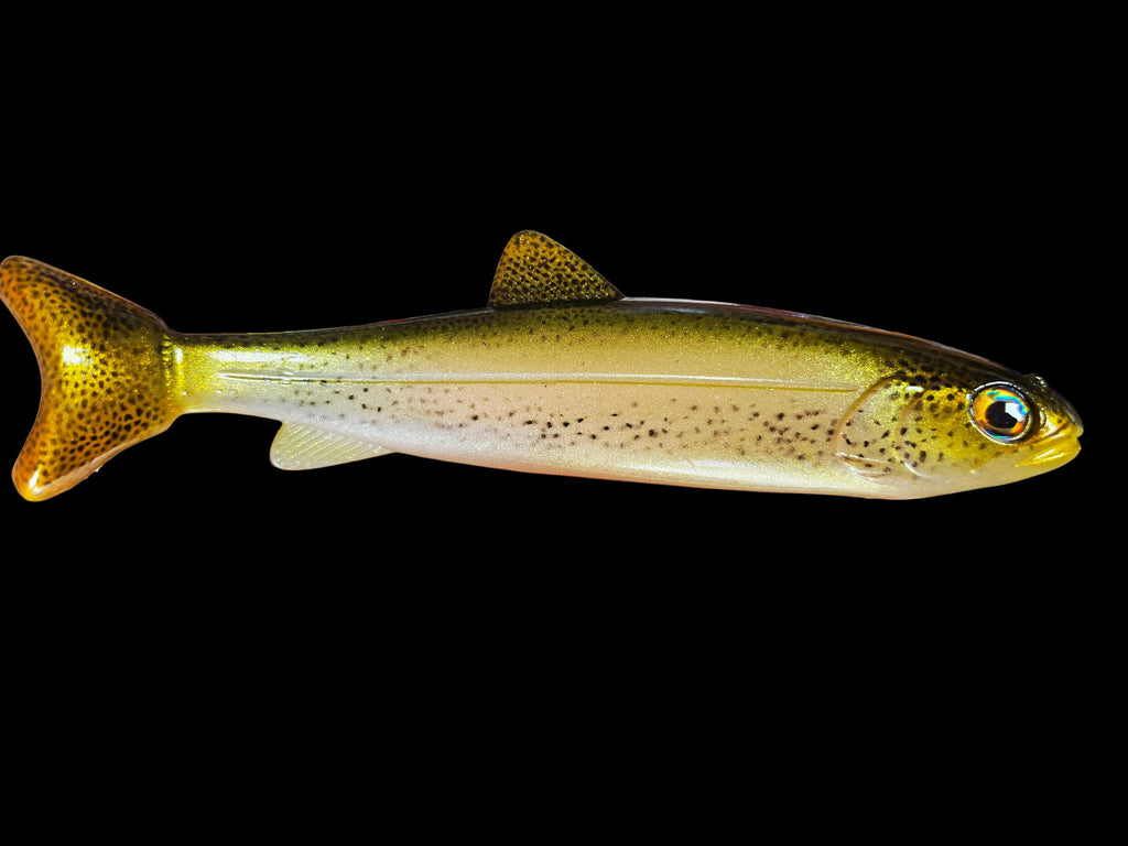Wedgie8- Pinkless Trout
