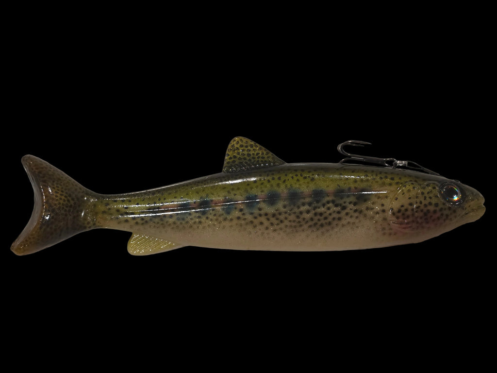 Wedgie8- Olive back trout