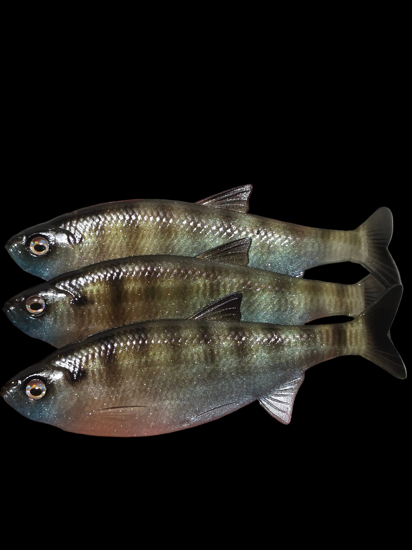 Insane Dying Shad (Ghost Gill)