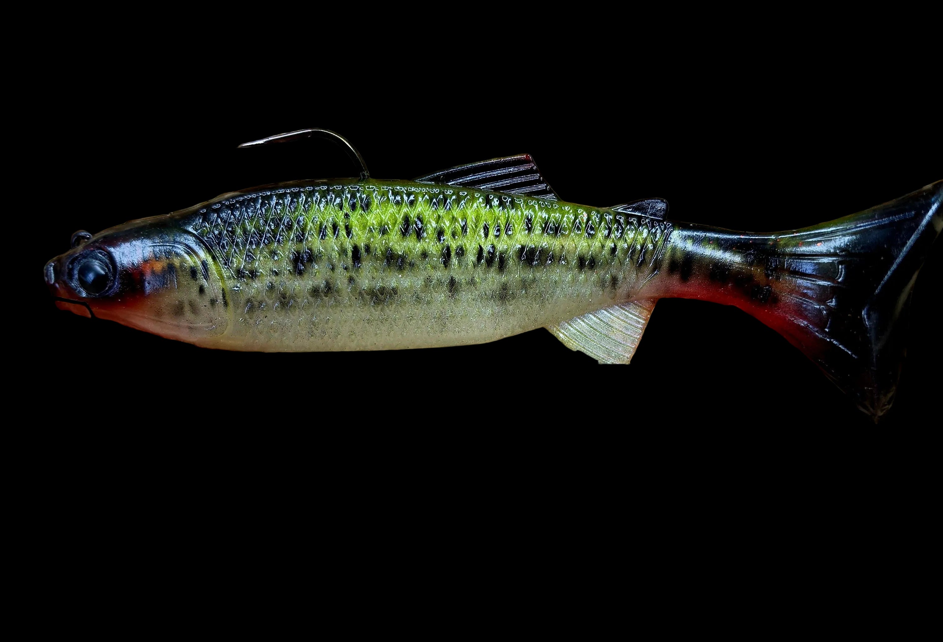 Crawling Creeper (Bloody Crappie)