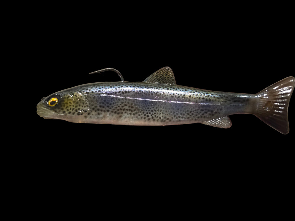 Wedgie6 gen2 (DK Trout)