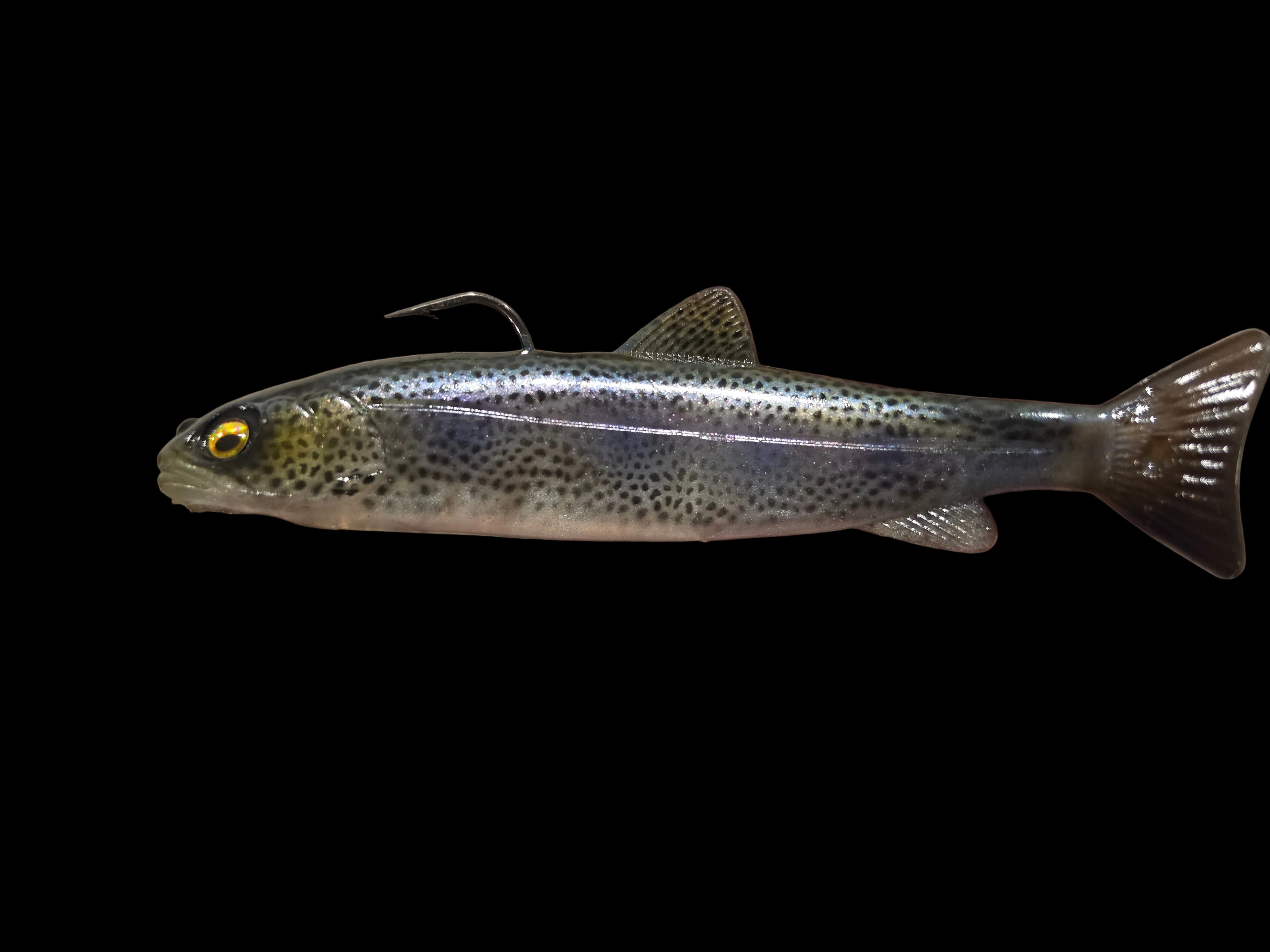 Wedgie6 gen2 (DK Trout)