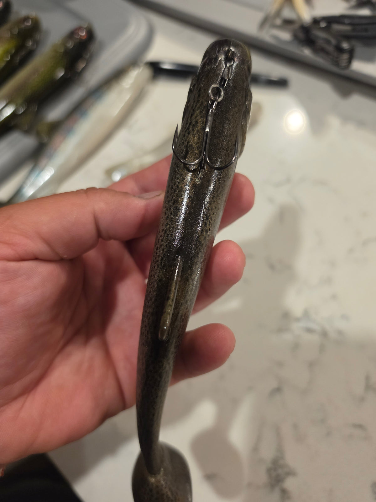 Wedgie8- Silver Trout