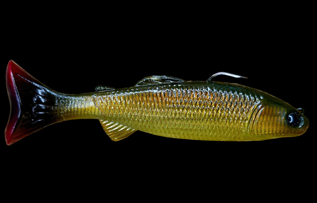 Crawling Creeper (Baby Carp)