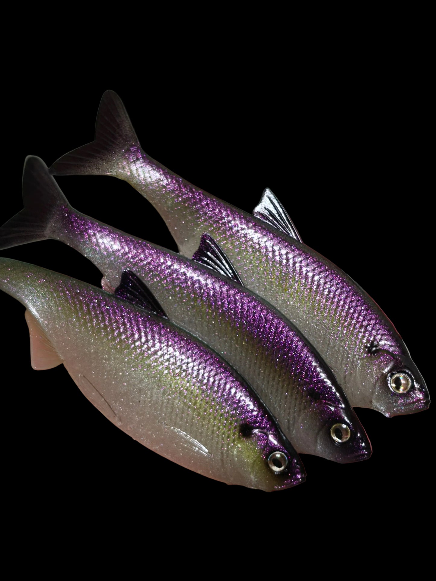 Insane Dying Shad (Dark Purple Shad)