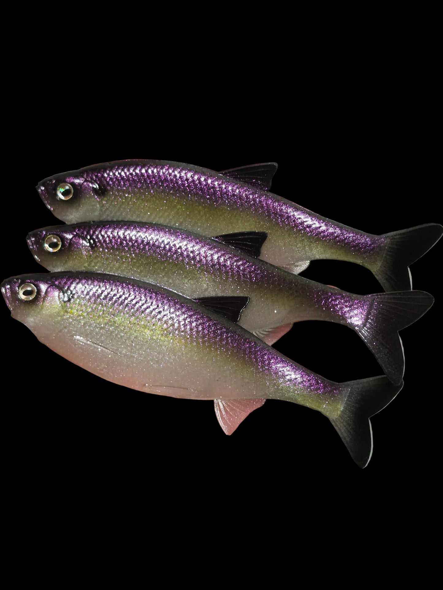 Insane Dying Shad (Dark Purple Shad)
