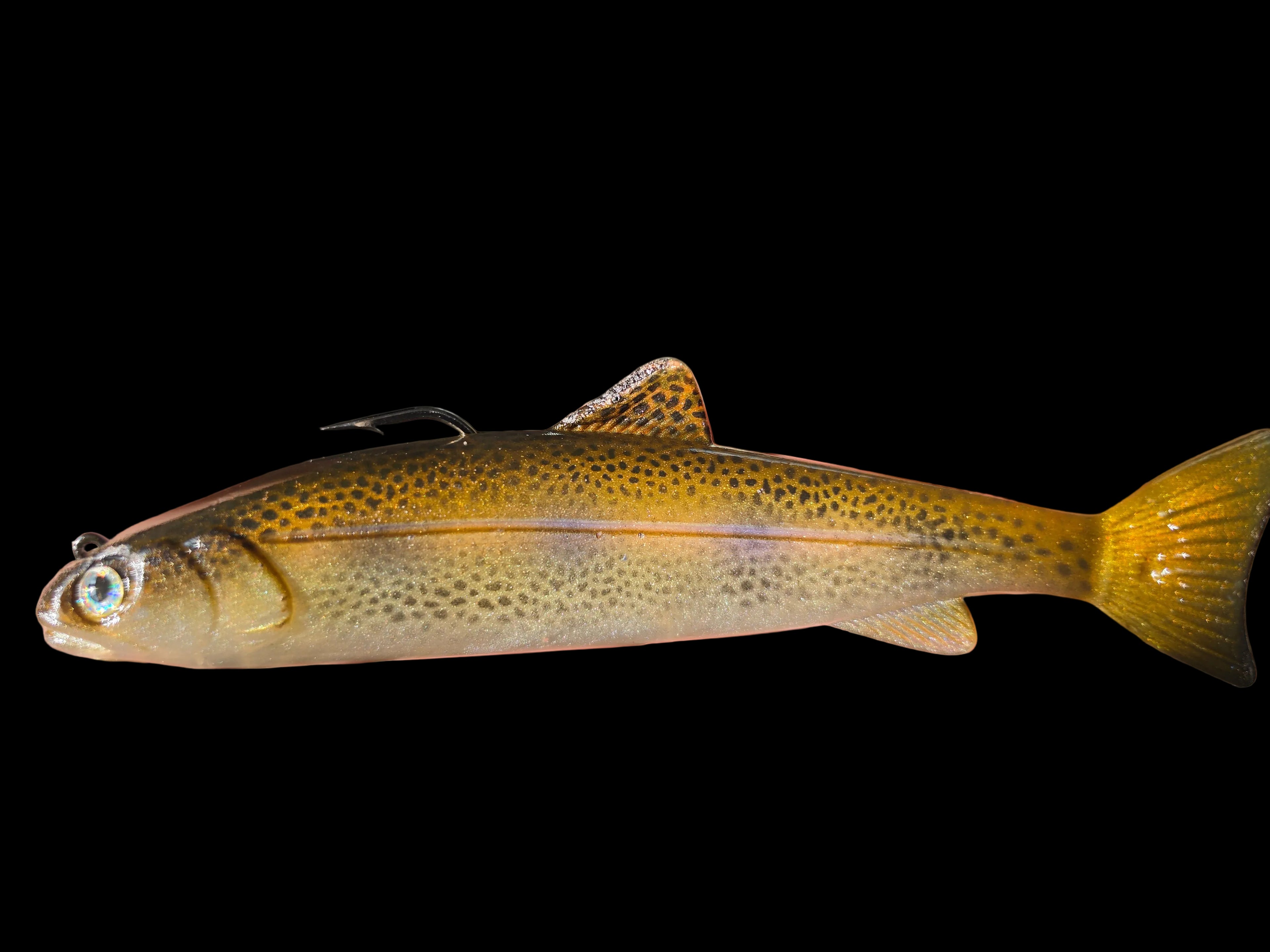 Wedgie6 gen2 (SCL Brown Trout A)