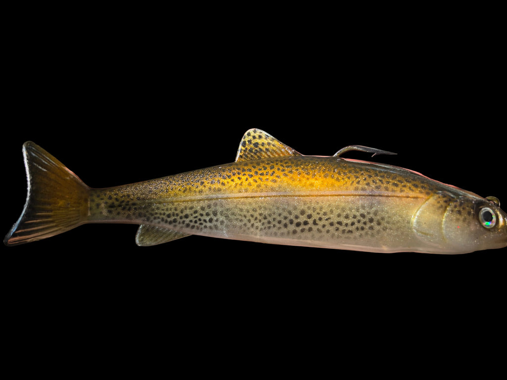 Wedgie6 gen2 (SCL Brown Trout A)