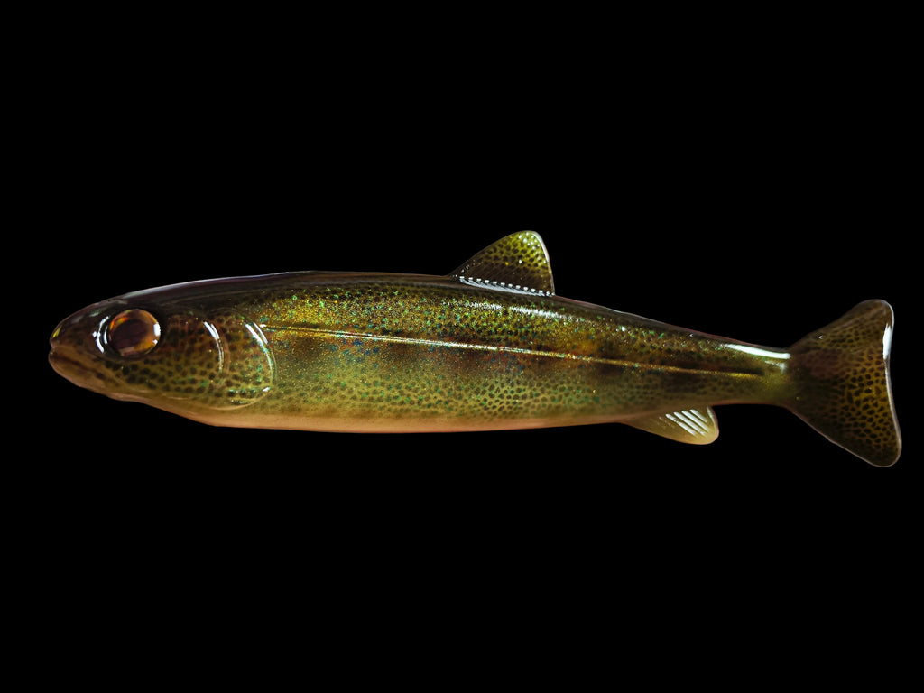 Wedgie8- Juvenile Native Trout