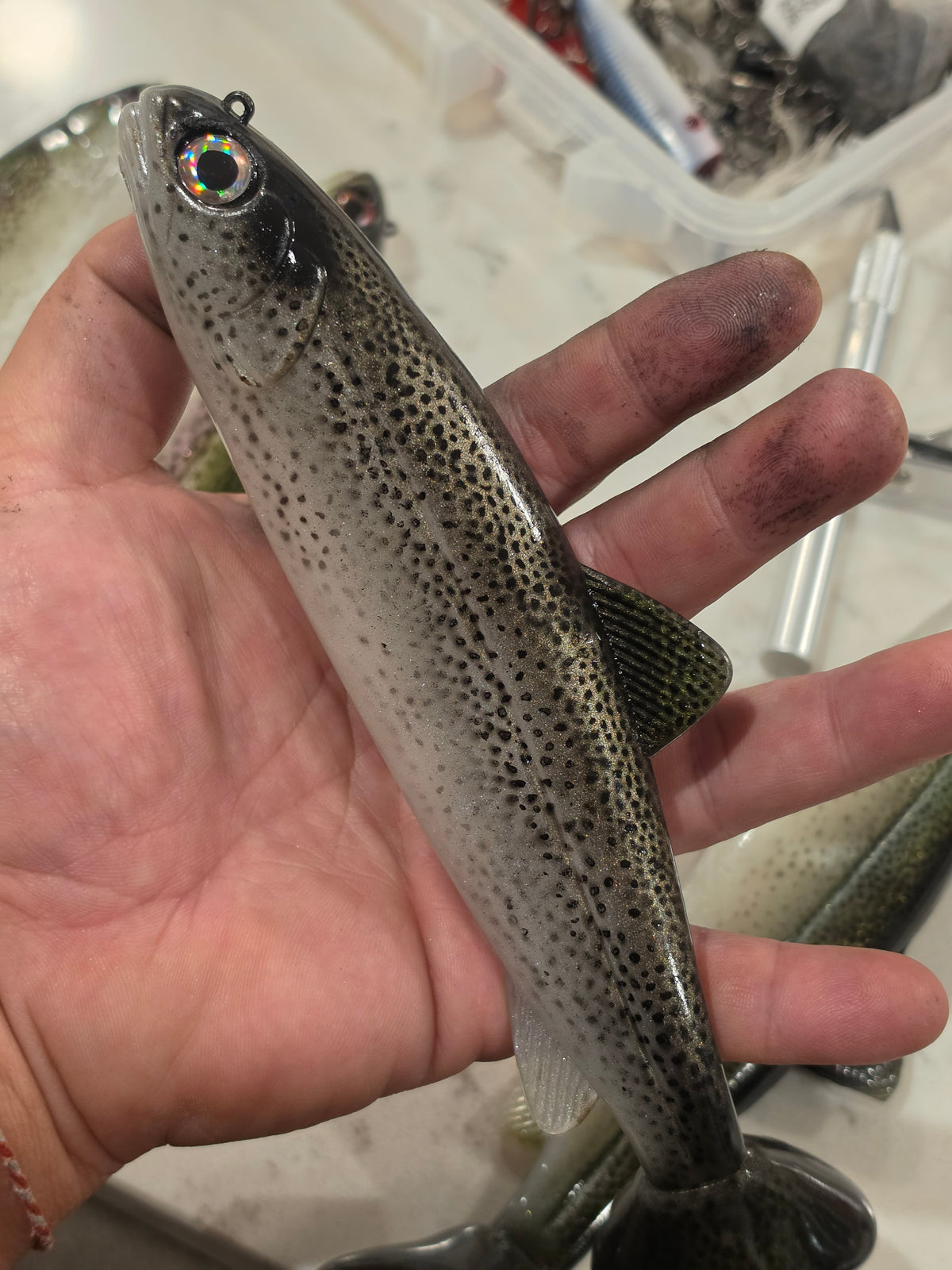 Wedgie8- Silver Trout