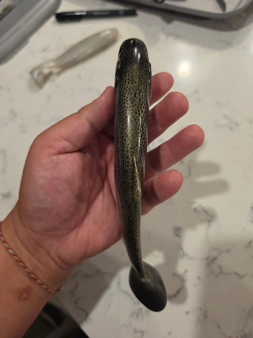 Wedgie8- Natural Trout