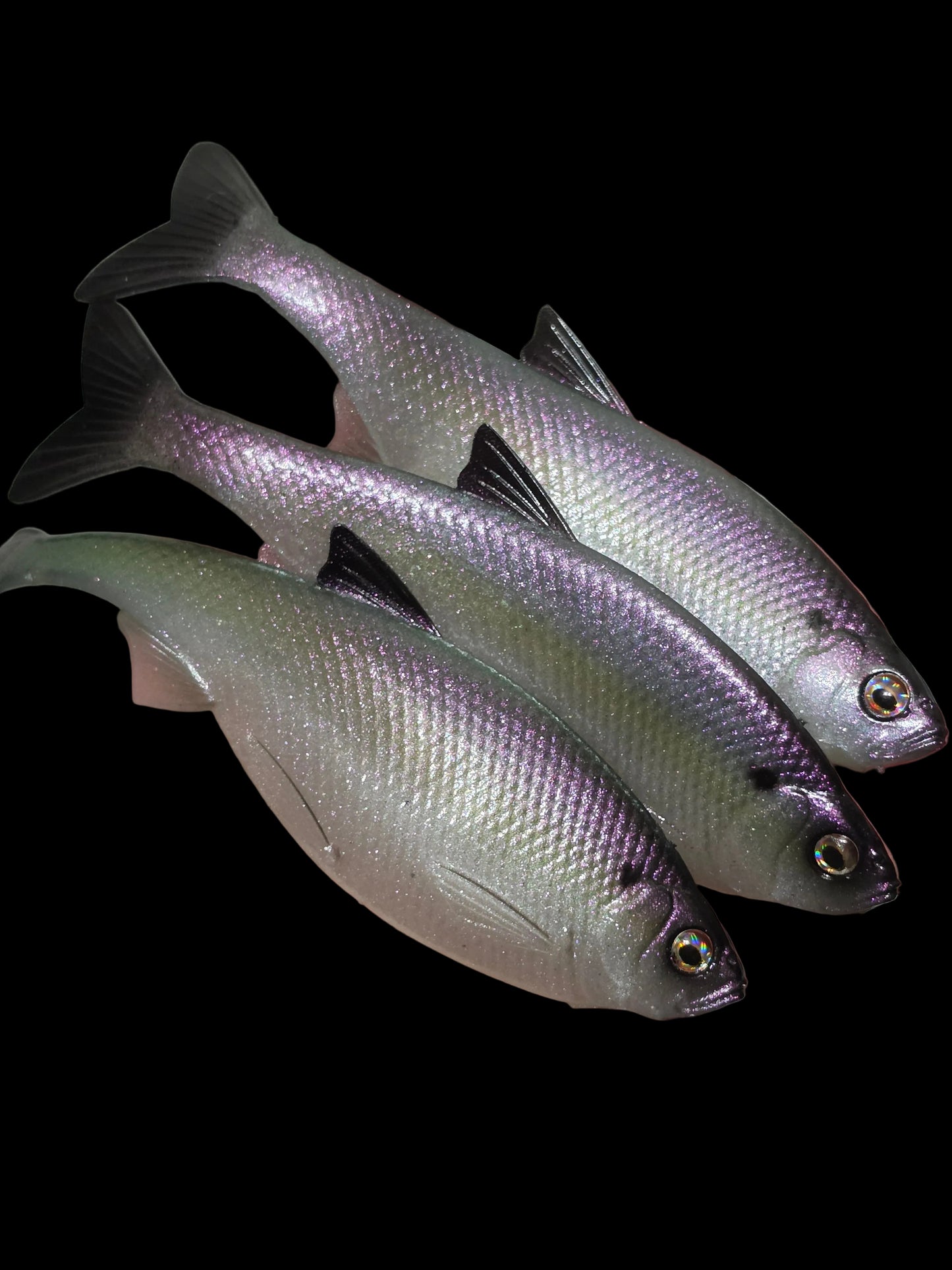 Insane Dying Shad (Lavender Shad)