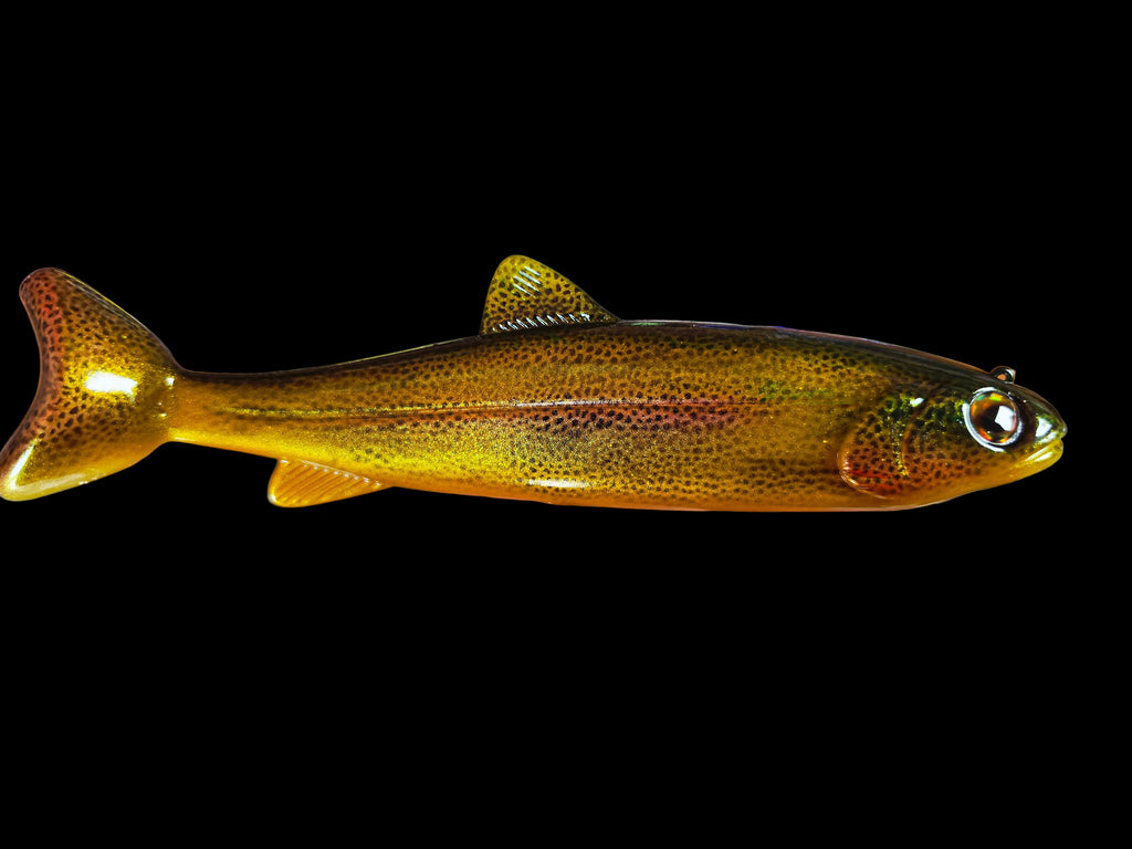 Wedgie8- Golden Trout