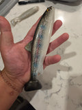 Wedgie8- Natural Trout