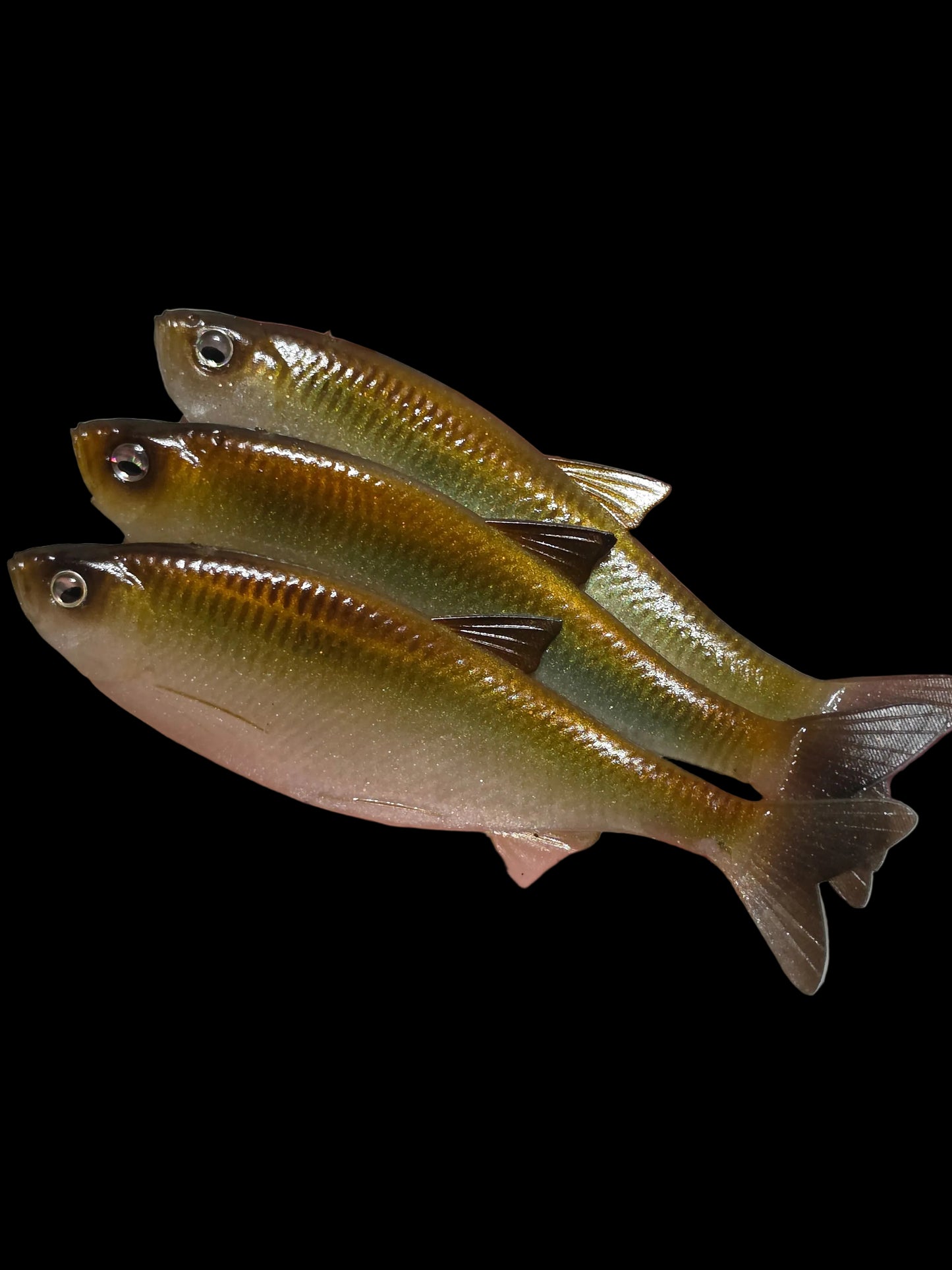 Insane Dying Shad (Dirty Minnow)