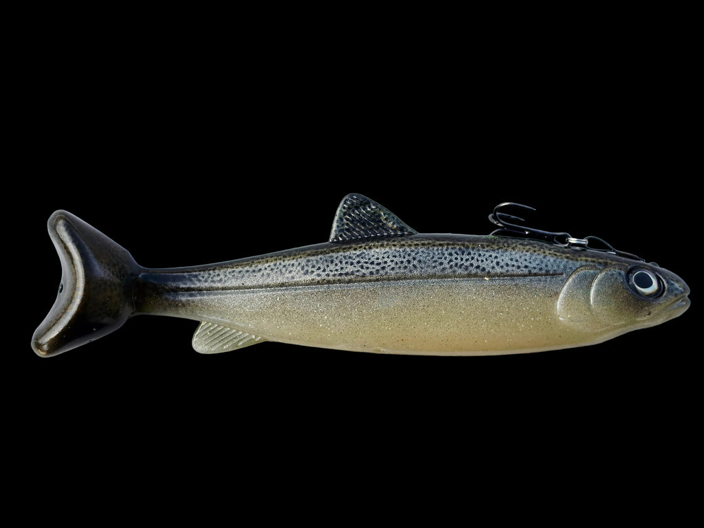 Wedgie8- Silver Trout
