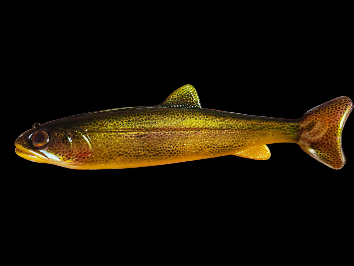 Wedgie8- Golden Trout