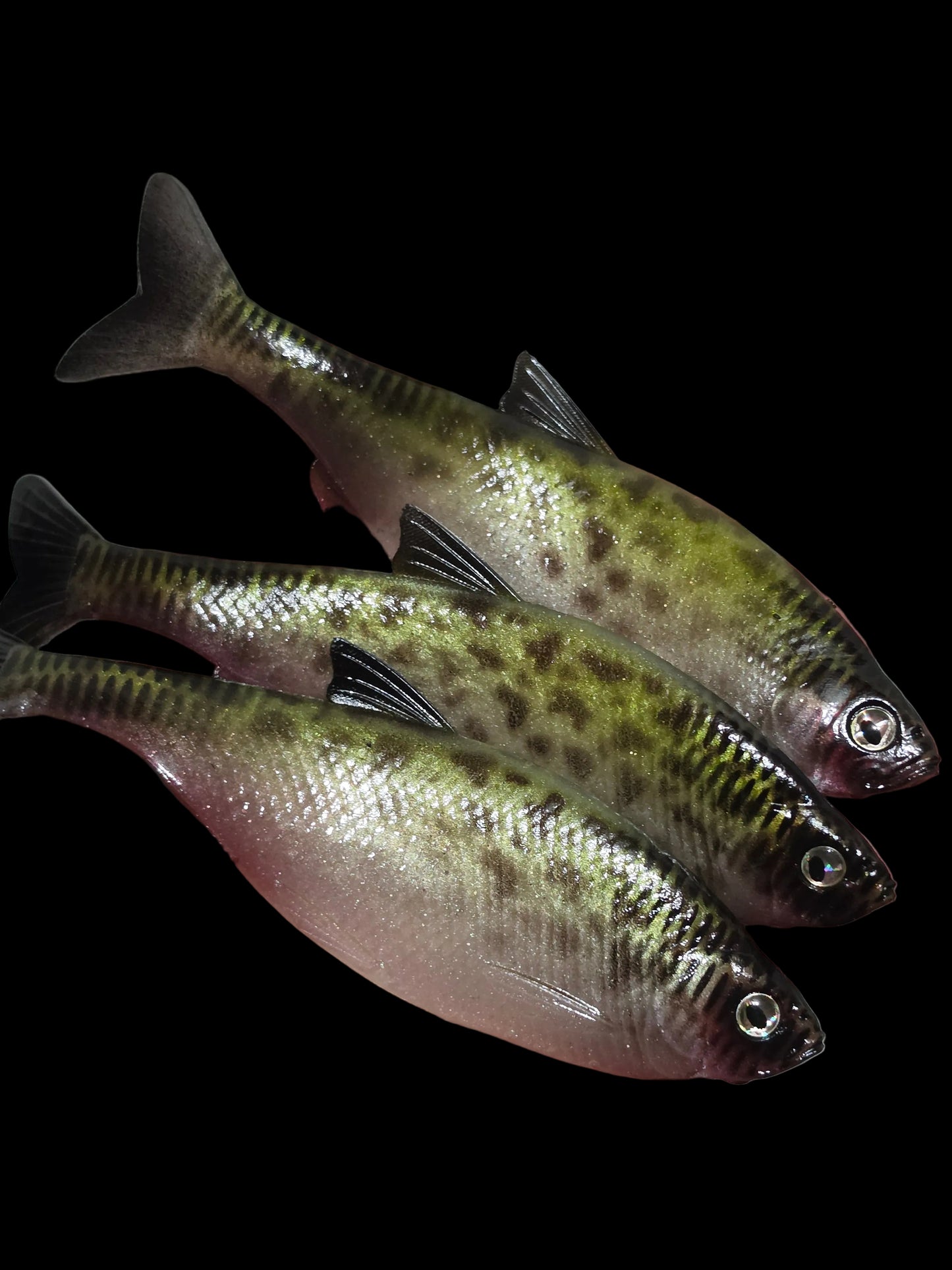 Insane Dying Shad (Bleeding Crappie)