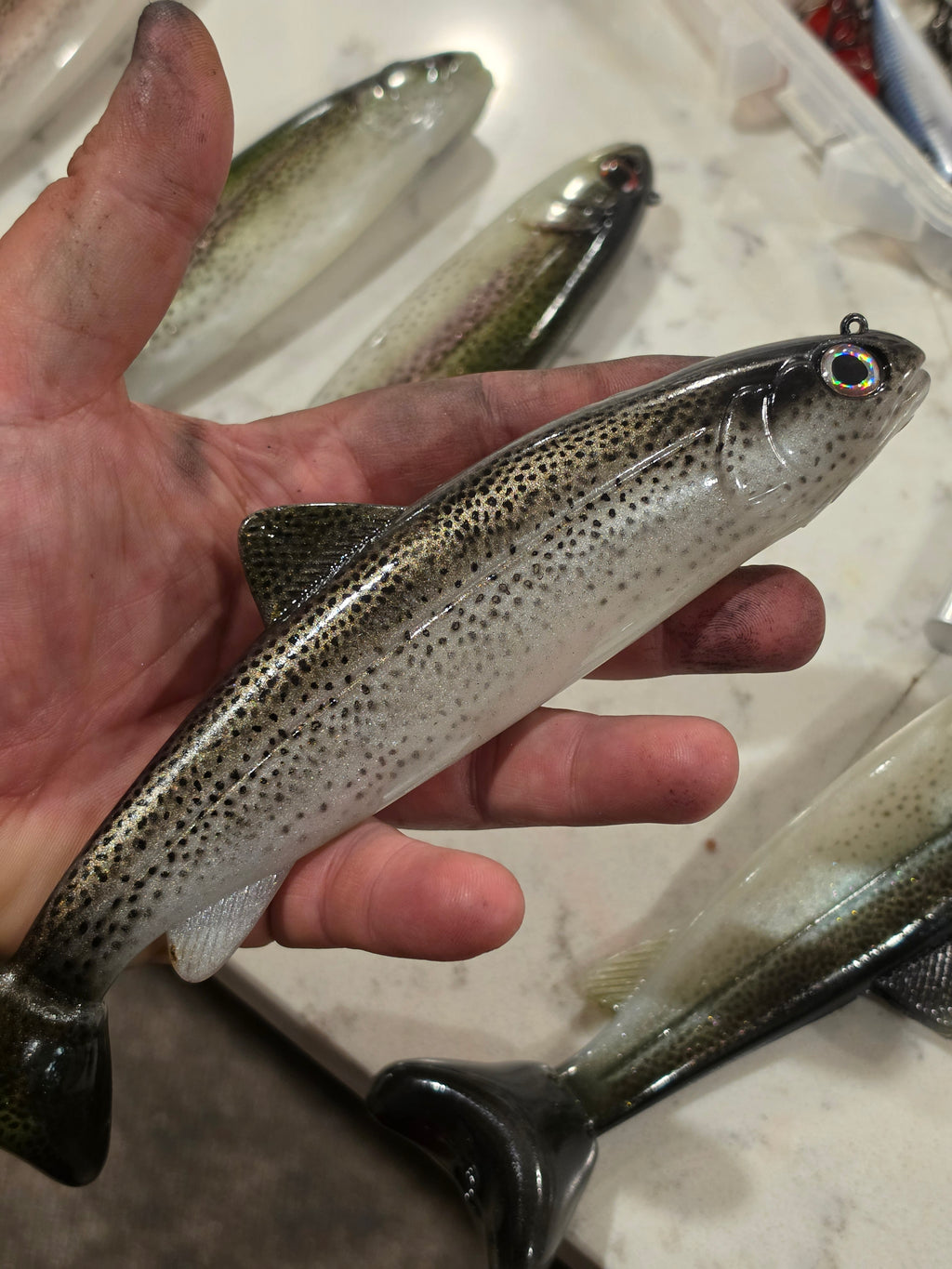 Wedgie8- Silver Trout