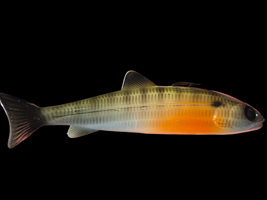 Wedgie6 gen2 (Bluegill)