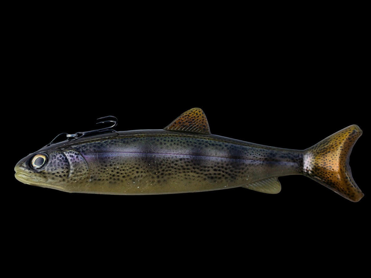 Wedgie8- SCL Rainbow Natural